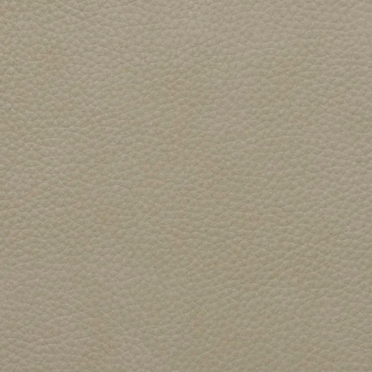 Columbia Ivory