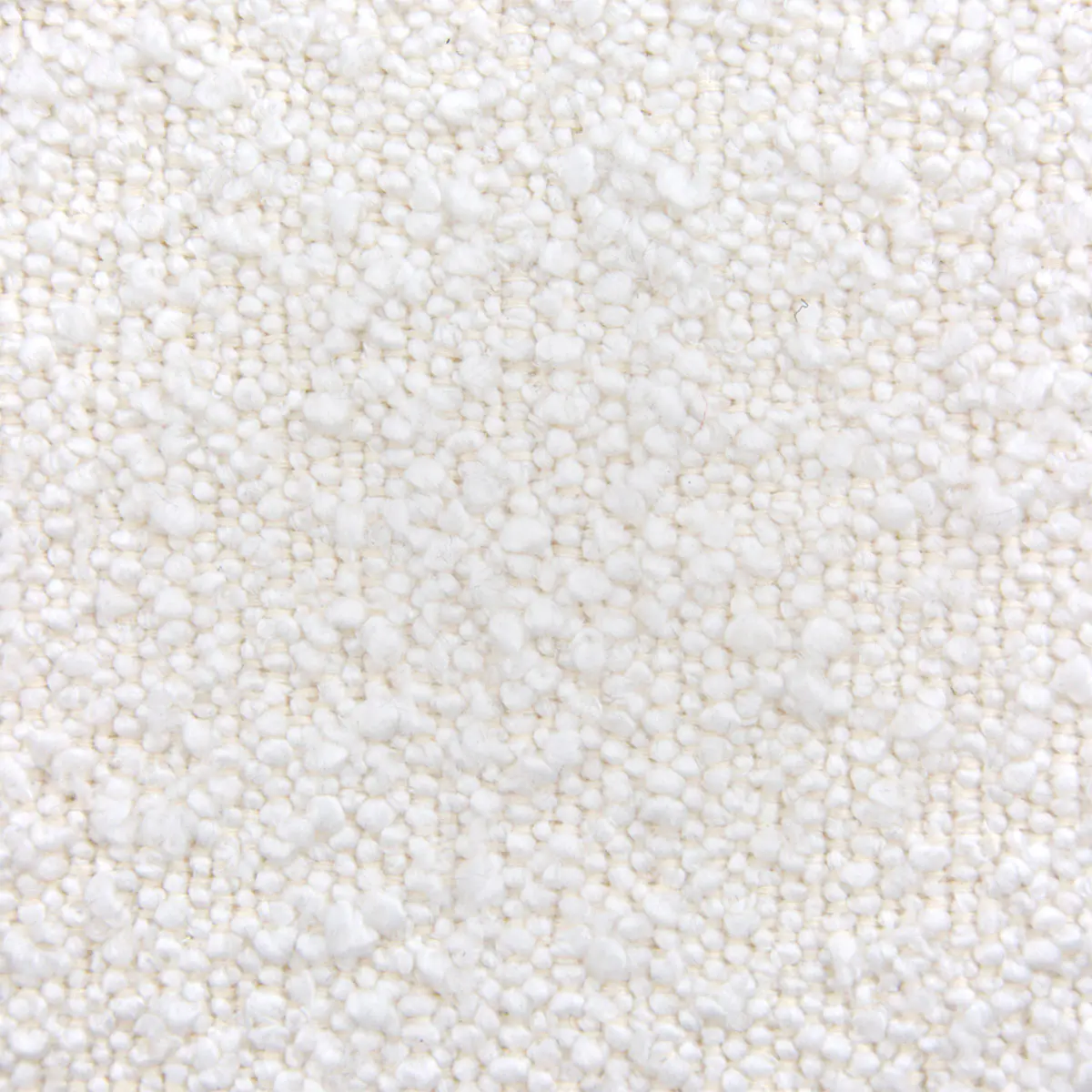 Ascot, Bouclé, Nata