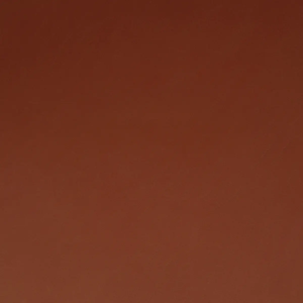 Rodeo, Light Brown