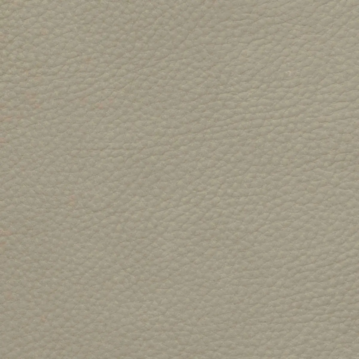 Columbia Cream