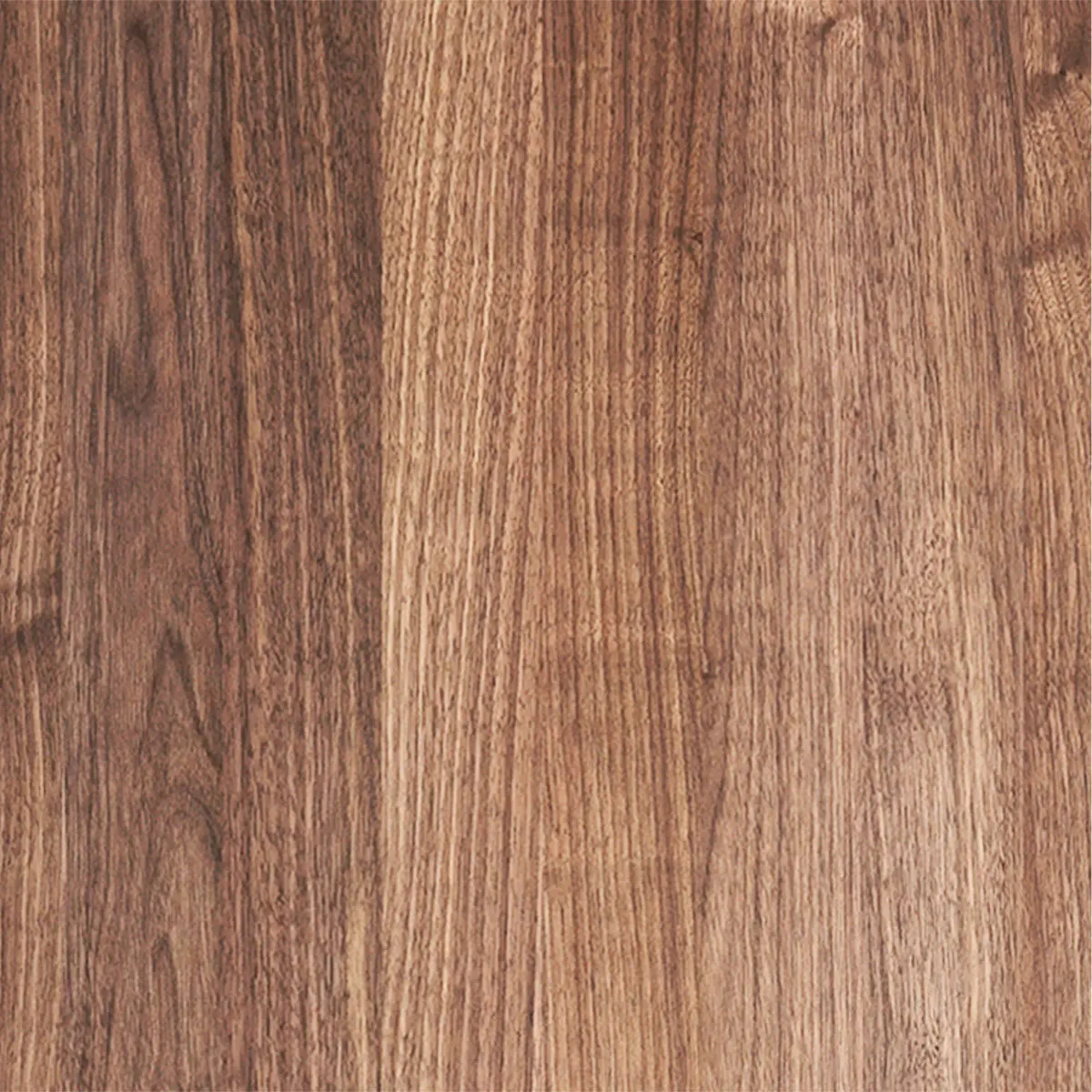 American Walnut