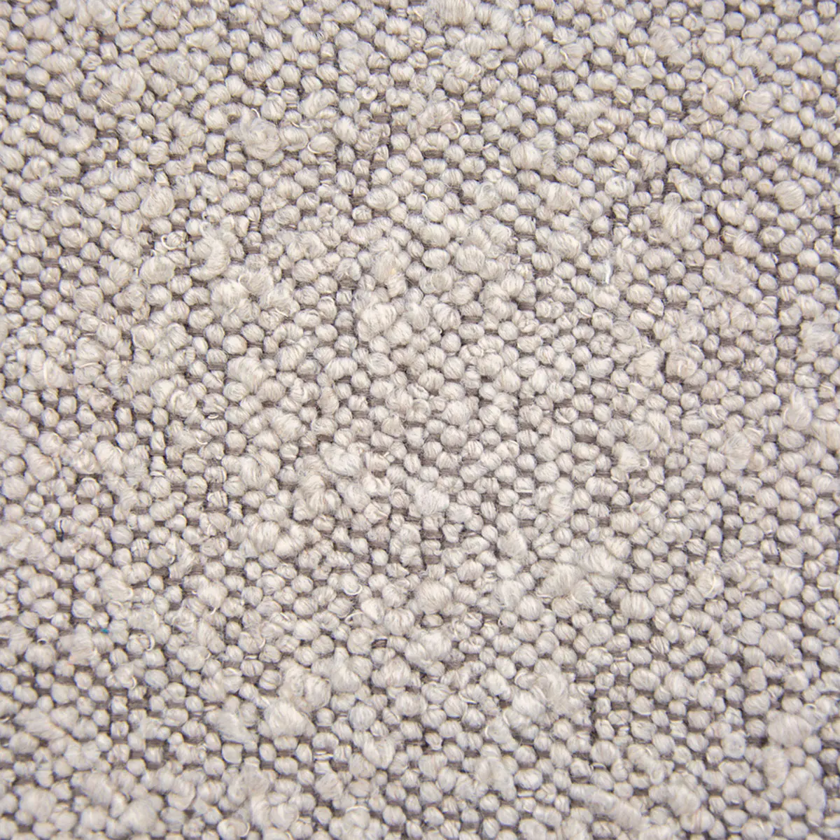 Ascot, Bouclé, Toffee