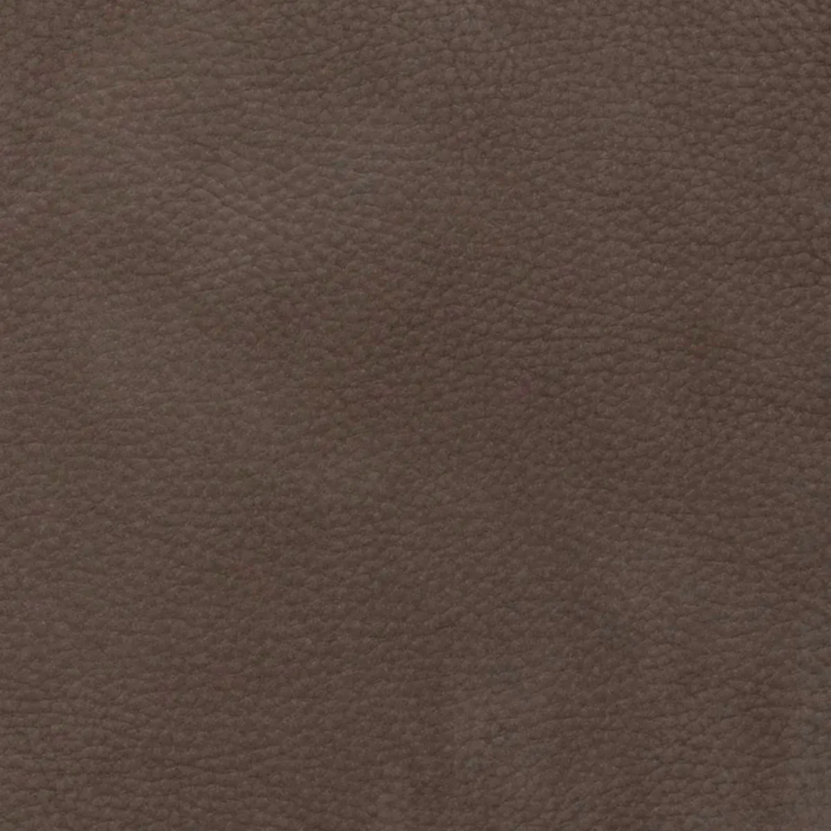 Columbia Taupe