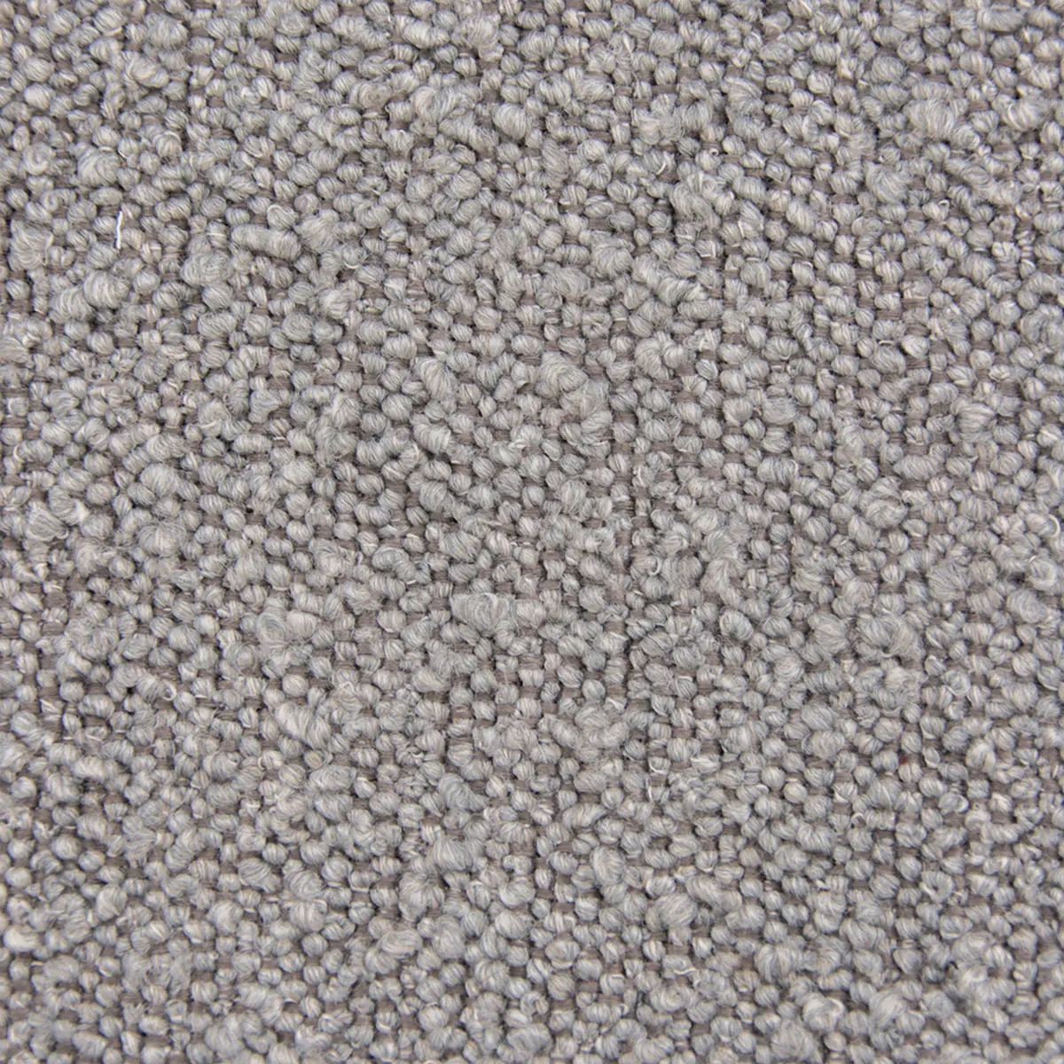 Ascot, Bouclé, Taupe