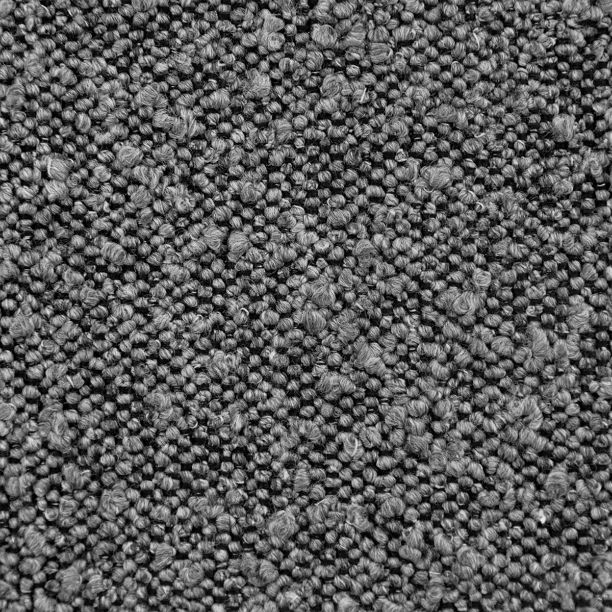 Ascot, Bouclé, Graphite