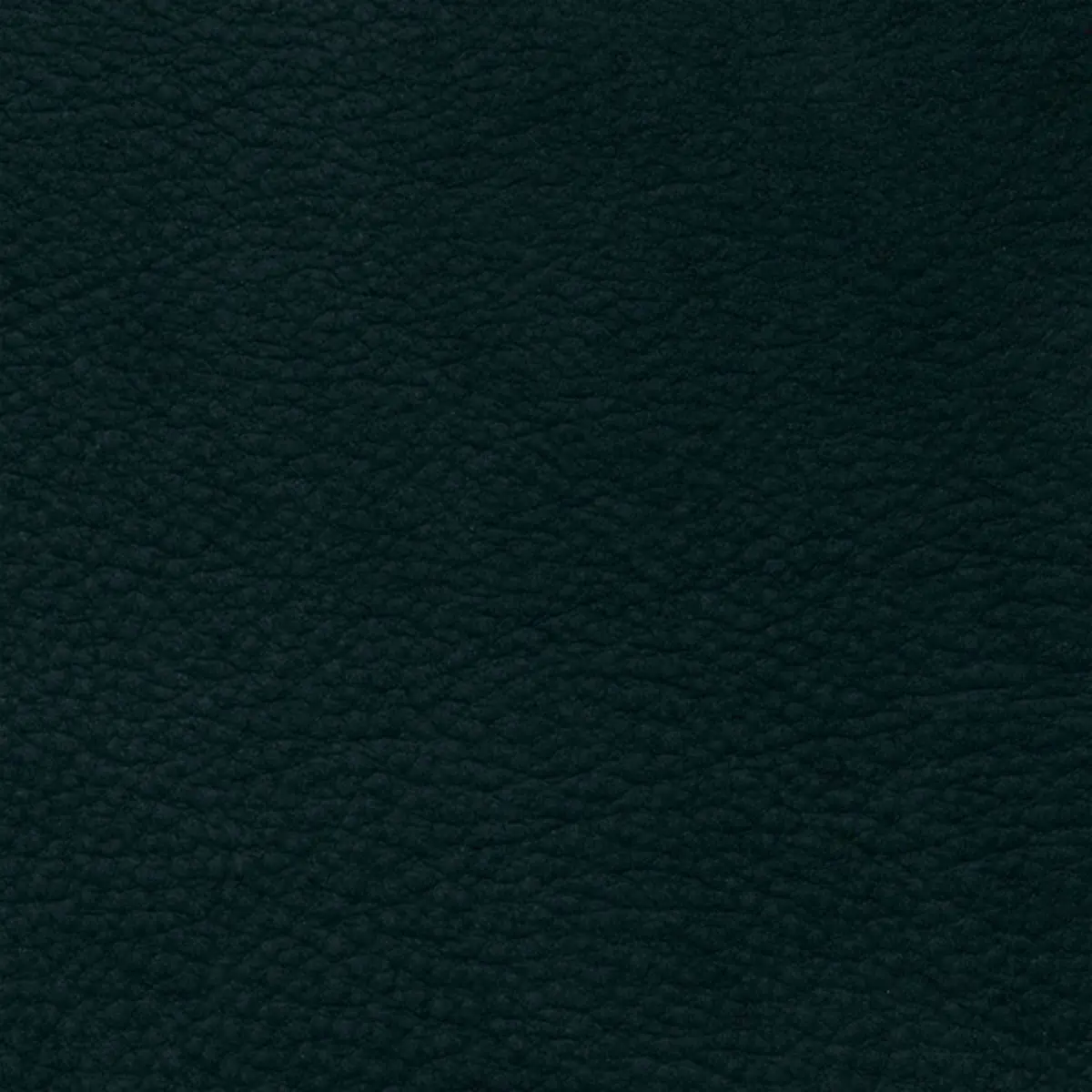 Columbia Black