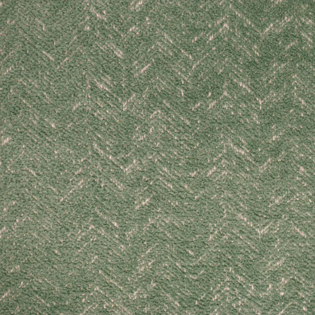 Wild Thing, Chevron, Oil Green