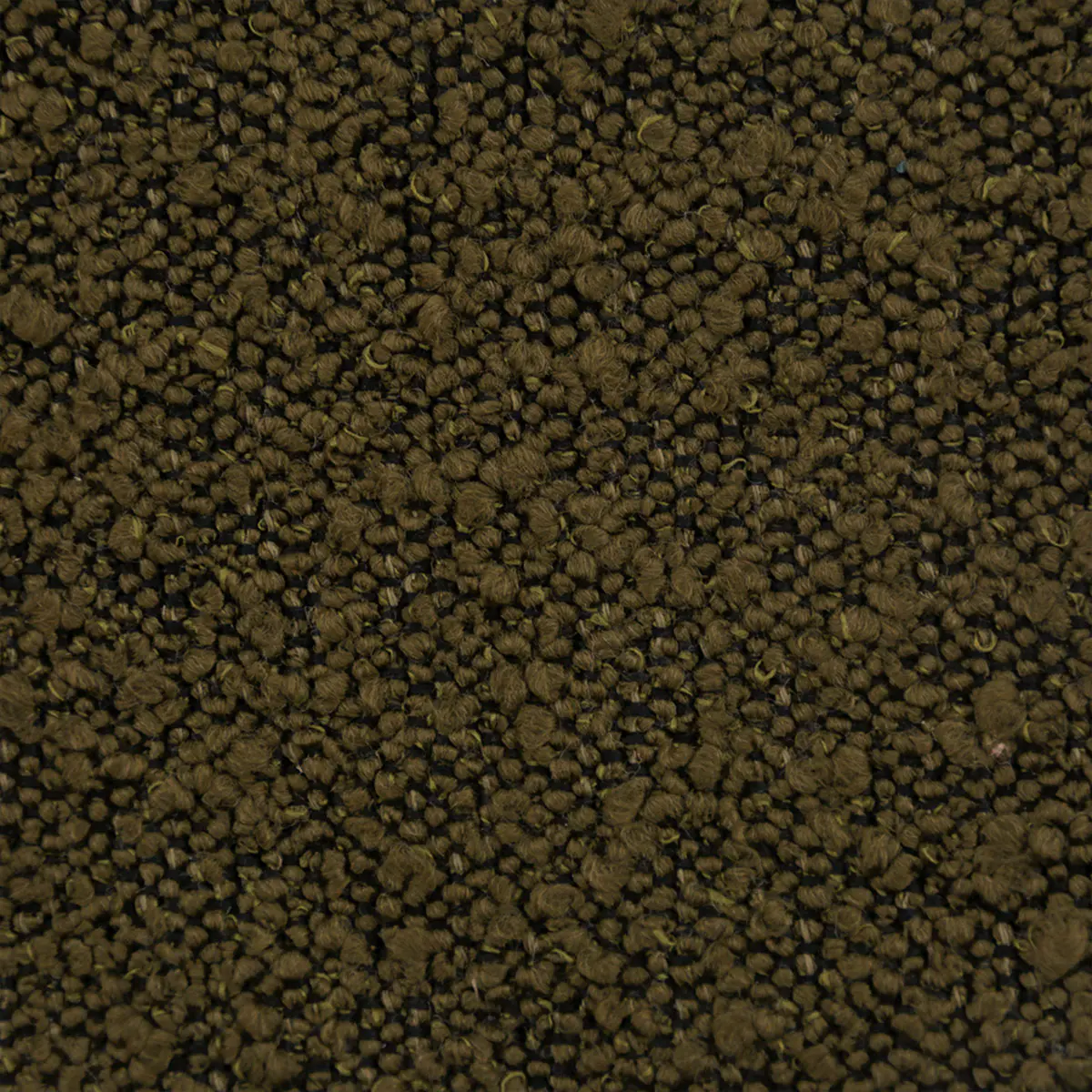 Ascot, Bouclé, Olive Green