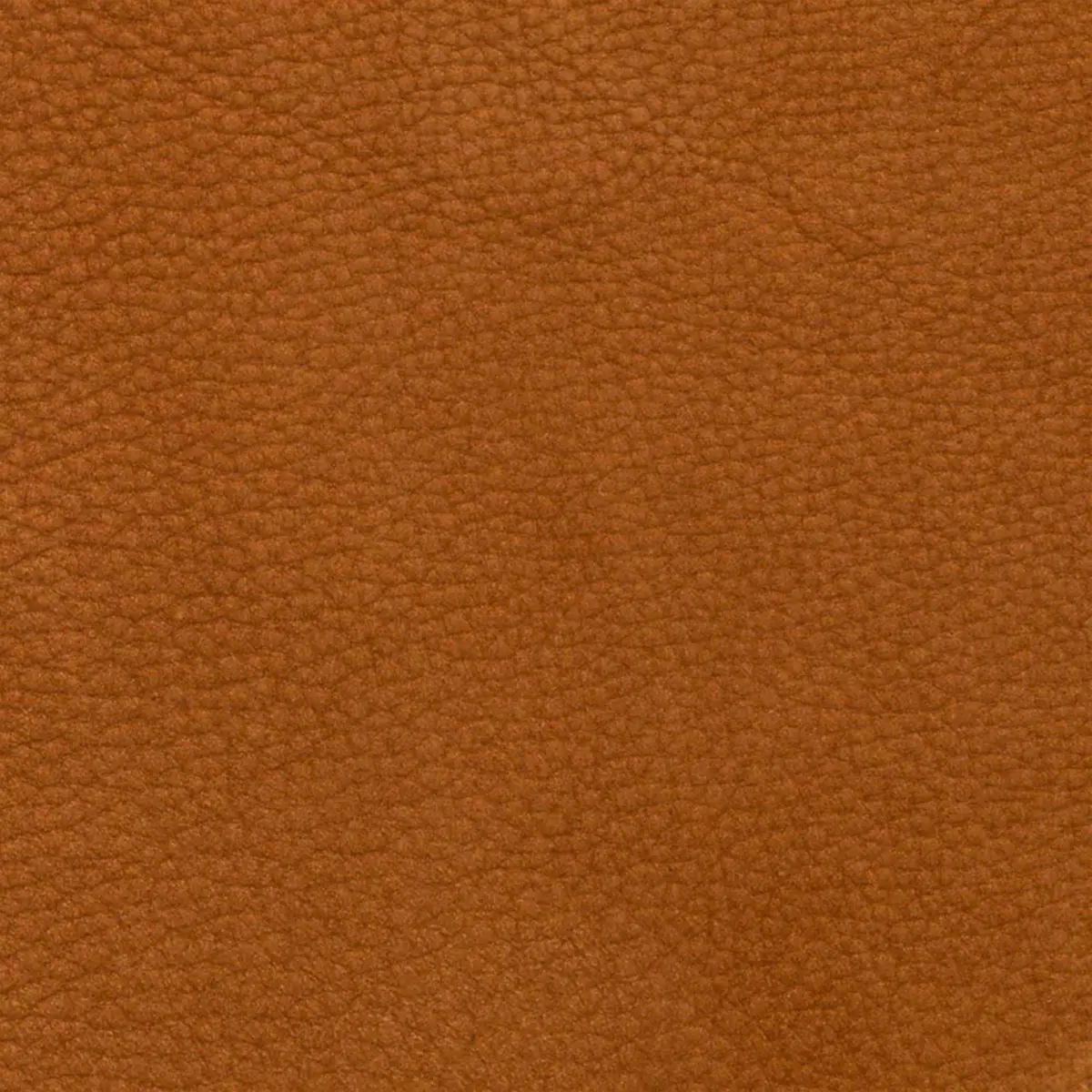 Columbia Caramello