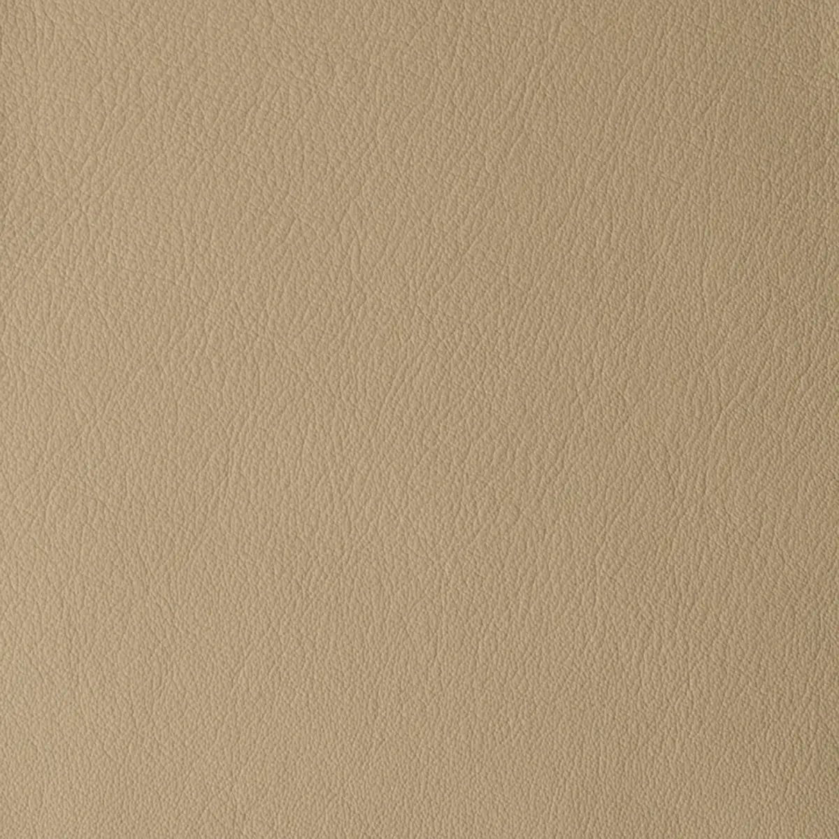 Laguna Taupe