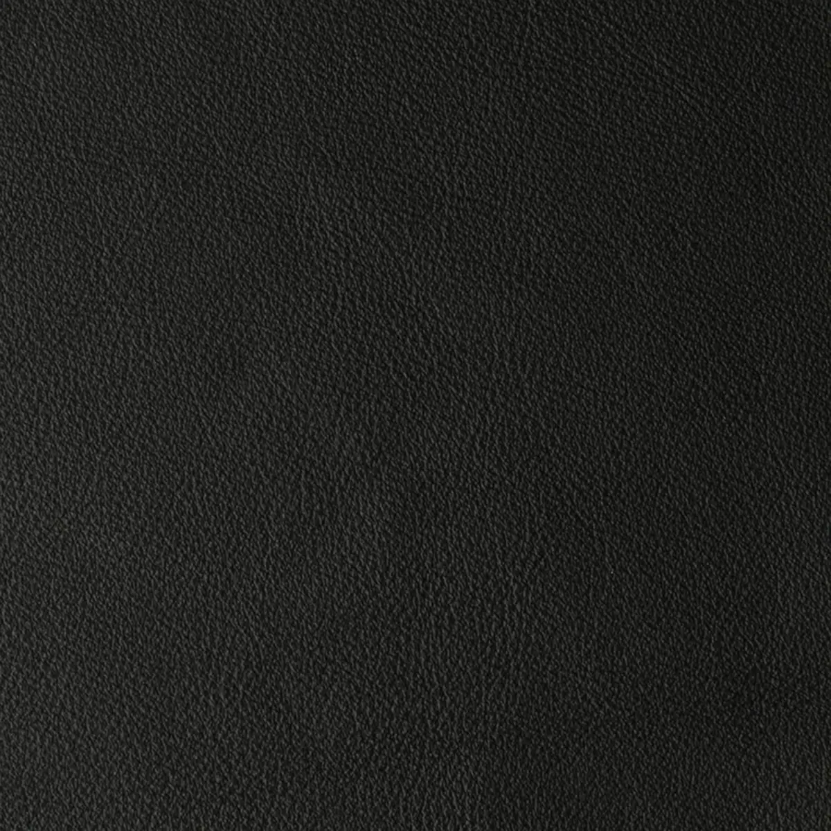 Laguna Black