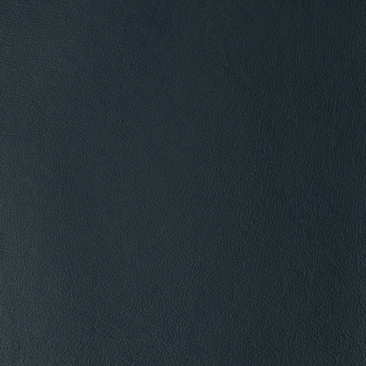 Laguna Graphite