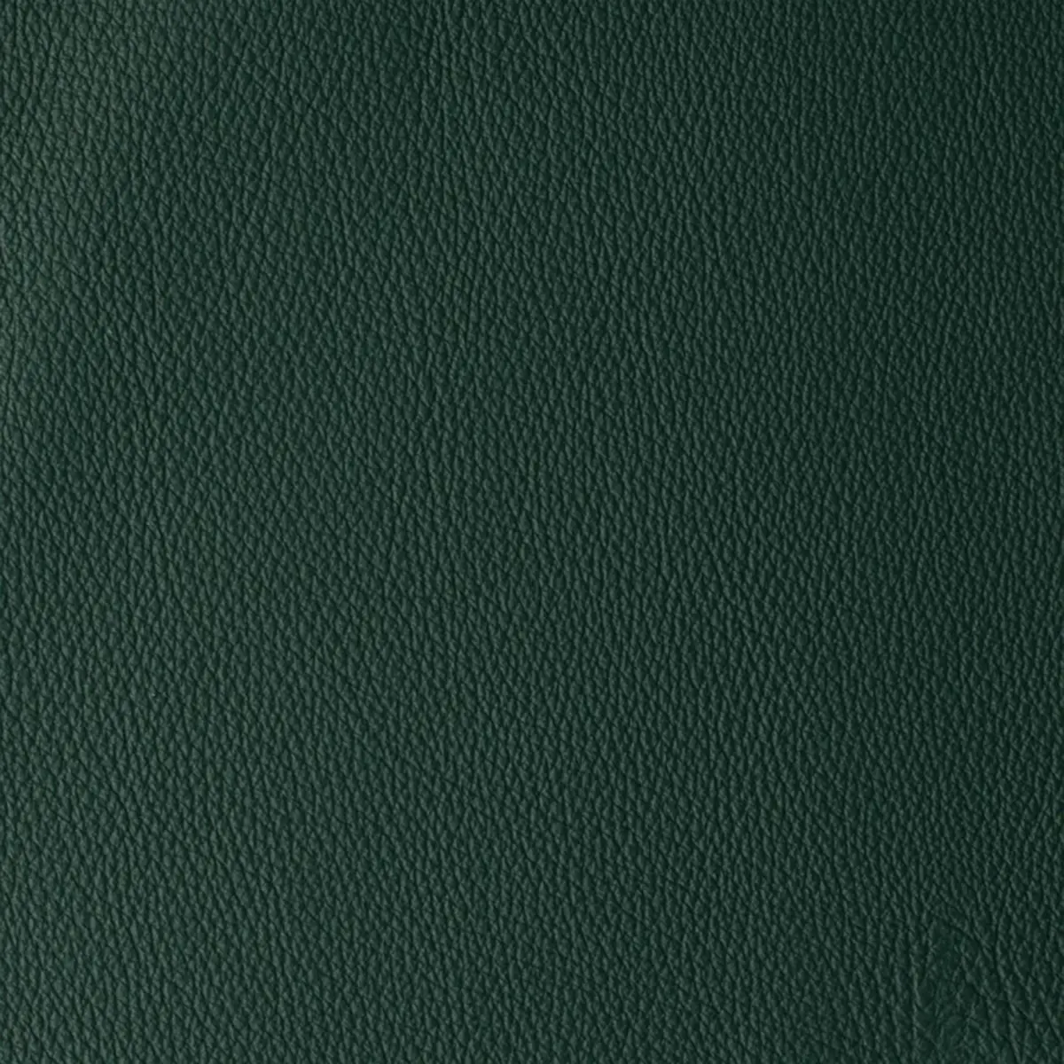 Atlantida Dark Green