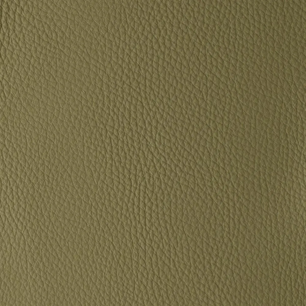 Atlantida Bamboo