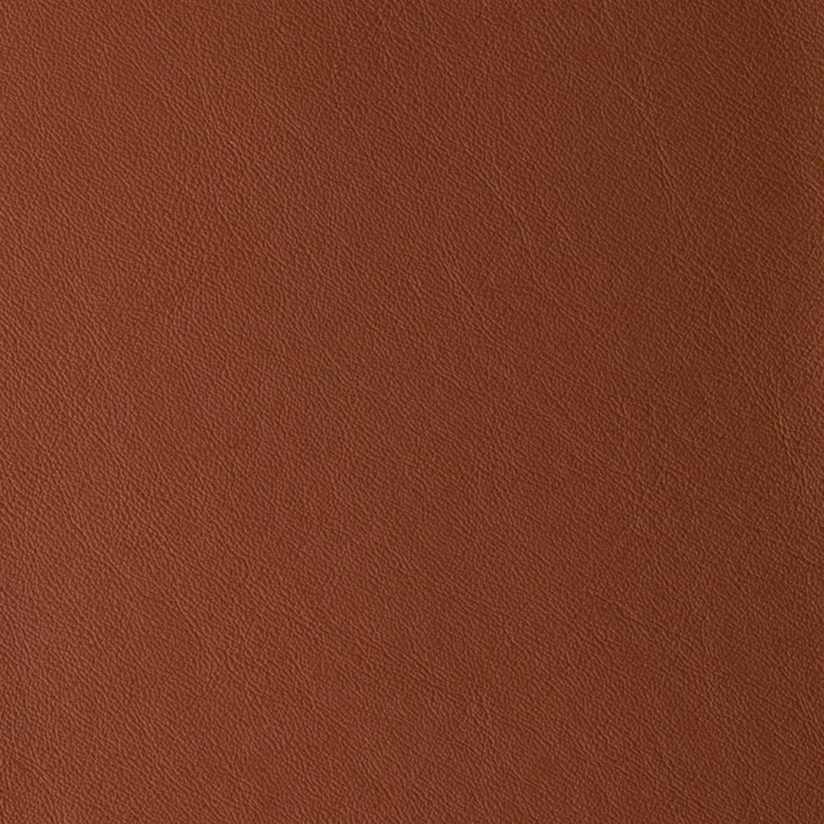 Laguna Jasper