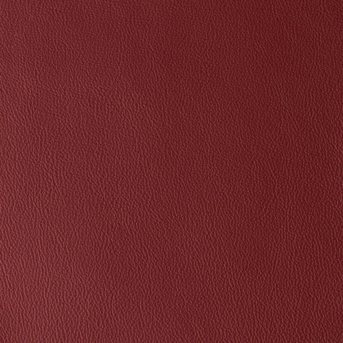 Laguna Cherry