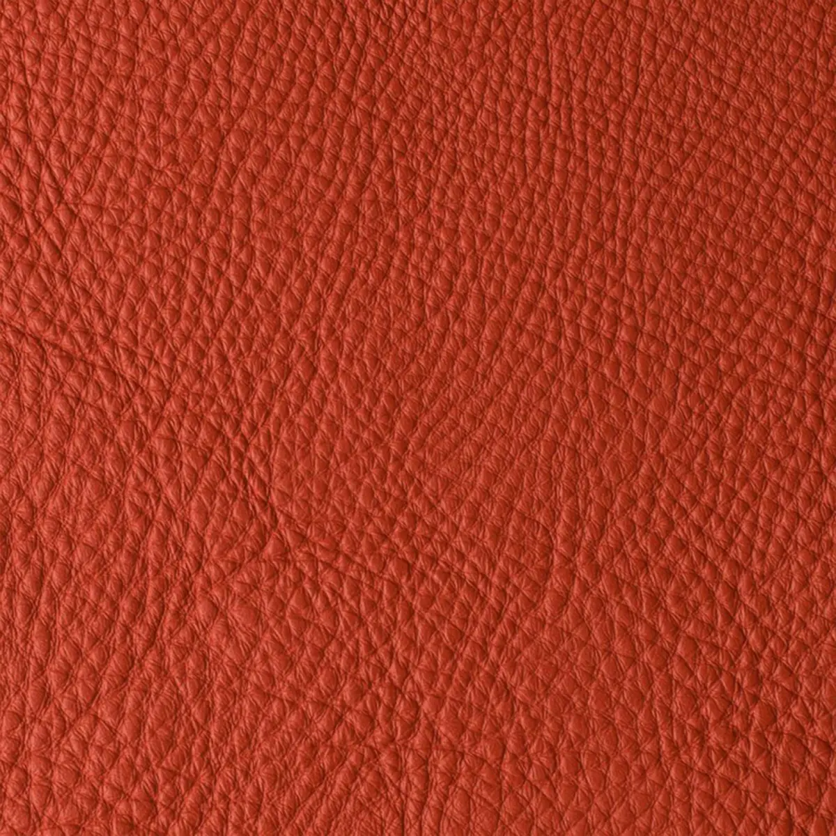 Atlantida Masai