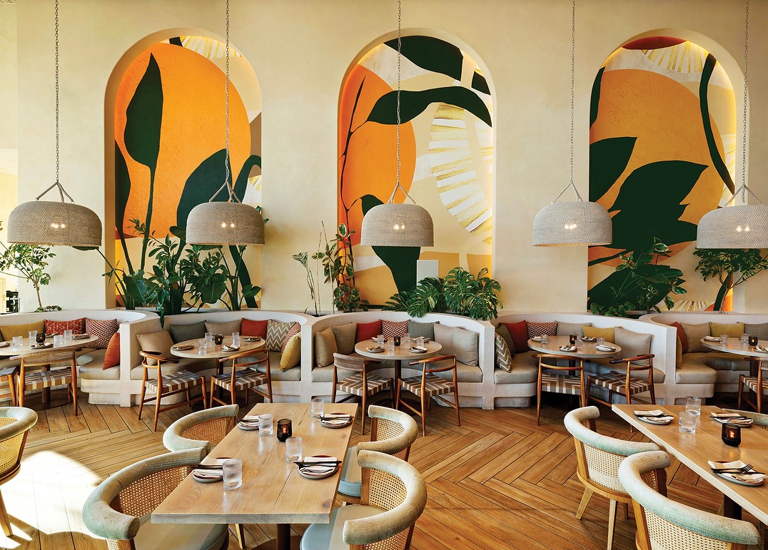 Dining area at Planta restaurant with varied seating arrangements, featuring the George Dining Chair in oak with natural rattan.